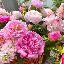 Load image into Gallery viewer, 🌺THE QUEEN OF FLOWERS—DOUBLE PETALED PIANI