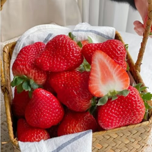 Load image into Gallery viewer, 【⏱️Limited time sale】-- Creamy Strawberry