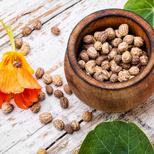 Nasturtium Seeds - Mixed Colors