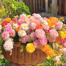 Load image into Gallery viewer, 🌹Moss Rose—Immortal Flower