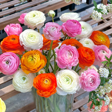 Load image into Gallery viewer, 🌹Ranunculus — Pious Heart