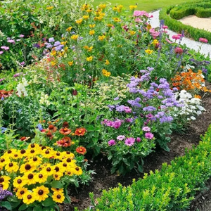 Mixed Perennial Flowers for All Seasons – 100+ Kinds