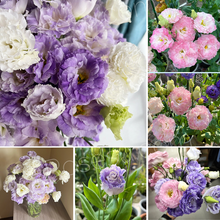 Load image into Gallery viewer, Lisianthus / Eustoma Grandiflorum Seeds - Thornless Rose